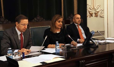 A DEPUTACIN DE PONTEVEDRA DESTINAR PRETO DE 300.000 ? PARA FINANCIAR OS GRUPOS DE EMERXENCIA SUPRAMUNICIPAIS DA PROVINCIA 