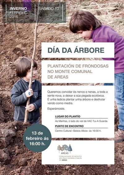 A CMVMC DE AREAS APRAZA A PLANTACIN DE FRONDOSAS PARA O 20 DE FEBREIRO