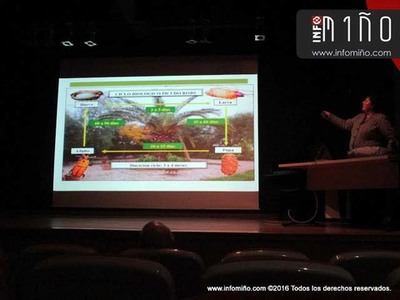 ESPECIAL - A GUARDA ACOLLEU UN COLOQUIO SOBRE O PICUDO VERMELLO DAS PALMEIRAS