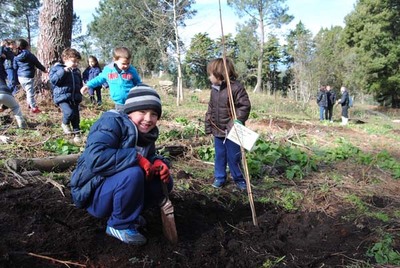 ALUMNOS DE OIA PARTICIPAN NUNHA PRANTACIN DE RBORES EN MOUGS