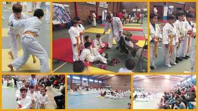 BUENOS RESULTADOS DEL JUDO CLUB TUDENSE EN SU PARTICIPACIN EN EL XOGAJUDO