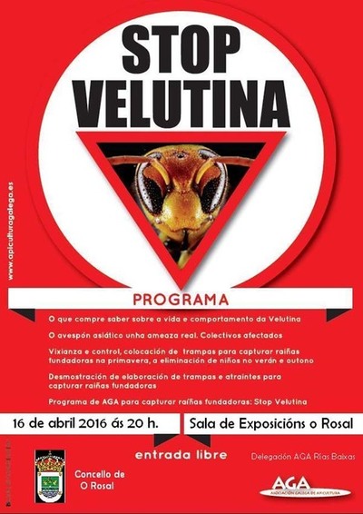 XORNADA -STOP VESPA VELUTINA- O SBADO 16 DE ABRIL NO ROSAL