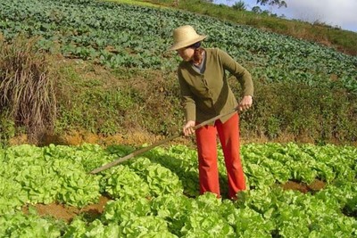 CICLO DE CONFERNCIAS JOVEM AGRICULTOR COMEA EM CAMINHA