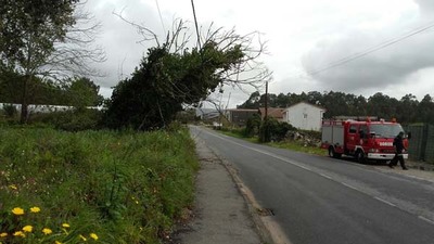 O GES DE A GUARDA RETIRA UNHA RBORE NA ZONA DA POBRA NA GUARDA