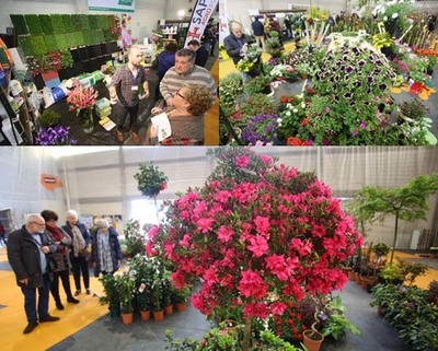 ACUBAM (ASOCIACION CULTIVOS DO BAIXO MIO) DA A COECER AS INNOVACINS MIS SALIENTABLES NO SECTOR DA PLANTA ORNAMENTAL E CAMPO