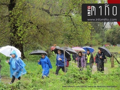 ESPECIAL - ETAPA REDONDELA-PONTEVEDRA DO CAMIO PORTUGUS POLA COSTA POR ETAPAS