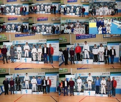 DIEZ MEDALLAS EN CAMPEONATO GALLEGO INFANTIL CADETE DE JUDO PARA EL CLUB DE JUDO DO-MAJO