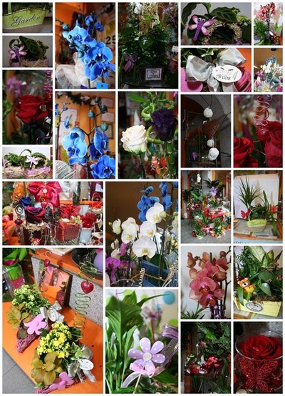 DOMINGO 1 DE MAYO DA DE LAS MADRES EN FLORISTERA REGALOS ARCOS