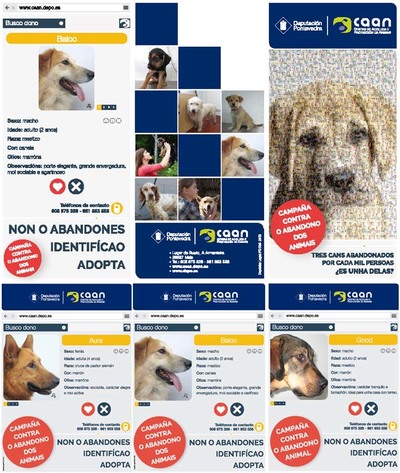 O CENTRO DE ACOLLIDA DE ANIMAIS DA DEPUTACIN ATENDE CADA DA UNHA MEDIA SETE AVISOS DE CANS ABANDONADOS NA PROVINCIA   