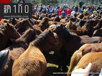 ESPECIAL - OIA DISFRUTOU UN ANO MIS DO CURRO DA VALGA