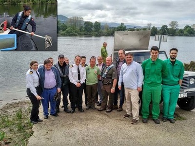 REPOBLACIN INTERNACIONAL CON 3600 ESGUINES DE SALMN ATLNTICO EN EL RO MIO