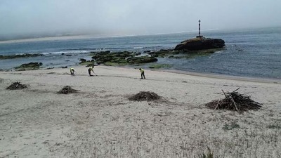 O CONCELLO DA GUARDA COMEZOU A LIMPEZA  MANUAL DE PRAIAS CARA AO VERN