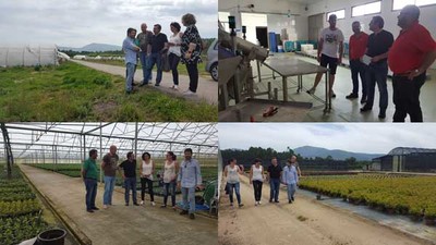 Lus Bar: -O Baixo Mio  un exemplo de diversificacin dos usos do campo para chegar a mercados novos-