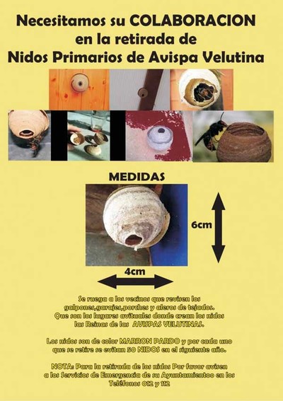 AVISO: Necesidade de retirar nios primarios da vespa velutina
