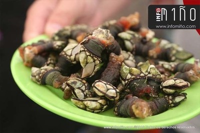 ESPECIAL - Mis de 4.000 racins servidas na V Festa do Percebe e de productos da Terra e do Mar na Guarda