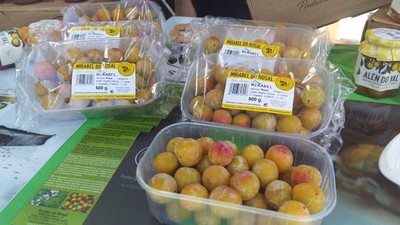 O mirabel do Rosal fresco xa est nas tendas para toda espaa, 1 mes mis tarde do habitual