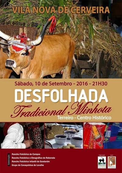 Desfolhada Tradicional Minhota o 10 de setembro em Vila Nova de Cerveira