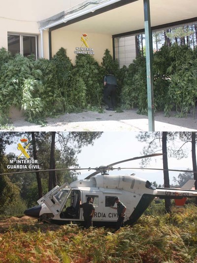 La Guardia Civil desmantela dos plantaciones de marihuana en el municipio de Tomio