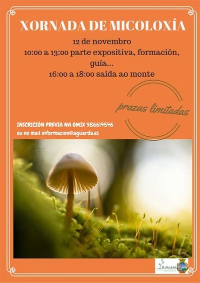 Xornada de Micoloxa organizada pola Omix do Concello da Guarda o 12 de novembro
