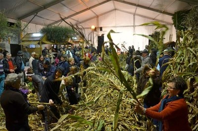 Valena reviveu desfolhada com vinhos e petiscos em cerdal
