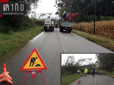 A cada dunha rbore sobre unha lia de media tensin deixa sen suministro elctrico a vecios do Rosal