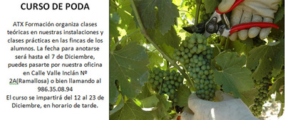 ATX Formacin organiza un Curso de Poda