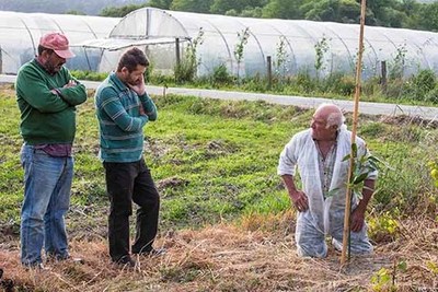 Emprendemento agr�cola no Baixo Mi�o