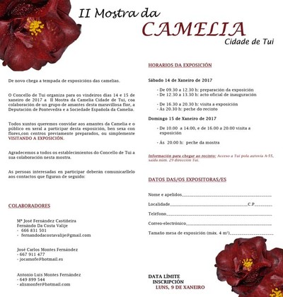A �rea Panor�mica acolle esta fin de semana a II Mostra da Camelia Cidade de Tui