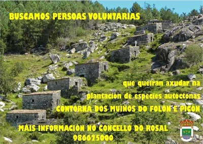 O Rosal procura voluntarios para unha Xornada de plantacin de rbores autctonas no Foln