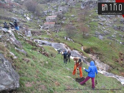 Especial - Voluntarios plantan 60 carballos en los -Muos do Foln- de O Rosal