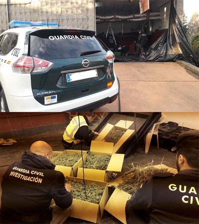 La Guardia Civil desmantela un invernadero  de marihuana en O Rosal