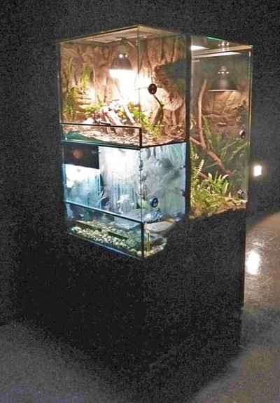 Aquamuseu de Cerveira cria nova rea para anfbios e rpteis