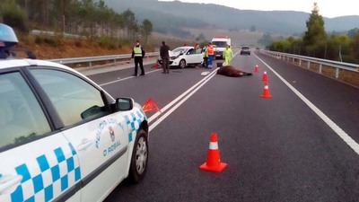 Accidente en O Rosal al colisionar un turismo y un caballo en el Vial A Guarda-Goin