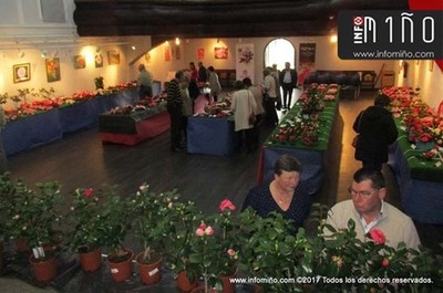 Especial - Tomio acogi este fin de semana el VIII Concurso Exposicin de la Camelia