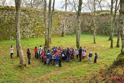 Centos de nenos e nenas de Primaria e Infantil coeceron -in situ- as rbores senlleiras de Tomio