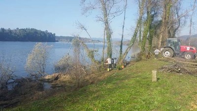 Autarquia de Cerveira retira rvores cadas na margem do rio Minho