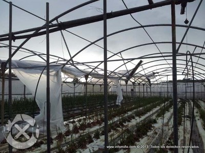 A Guarda e O Rosal participan no Programa de Medio Ambiente de recollida de plsticos agrcolas