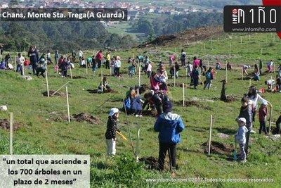 Especial - Alumnos de A Guarda plantaron 225 rboles en la zona de Chans del Monte Sta. Trega