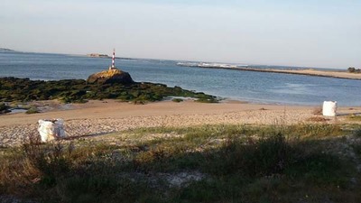  O Concello iniciou os traballados de limpeza das praias e areais da Guarda a comezos de abril