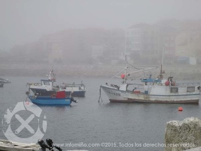 Os gardacostas requisan preto de das toneladas de peixe e marisco e de 450 tiles en distintos controis