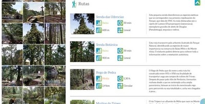 O parque natural Monte Aloia ofrece case 20 km de rutas para coecer o seu patrimonio natural e a sa beleza paisaxstica