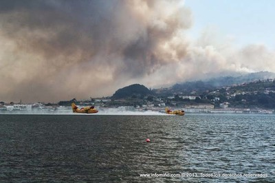 Caminha vai executar empreitada florestal de meio milho de euros na defesa da floresta do concelho