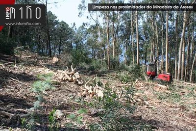 A Comunidade de Montes de A Guarda inicia a limpeza da zona prxima  Castro de Sta. Trega e o Miradoiro de Areses