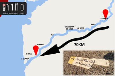 La seal que naveg 70km por el Ro Mio