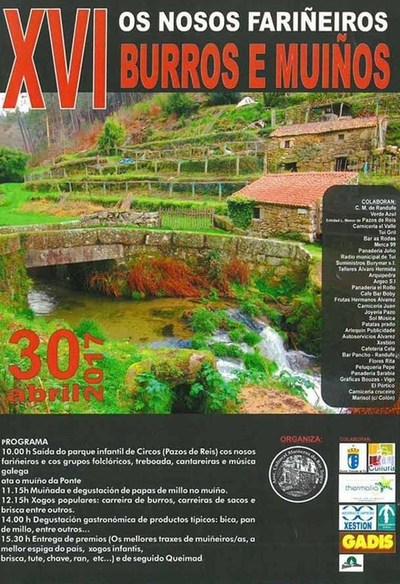Tui acolle este domingo a XVI edici�n de Os nosos fari�eiros burros e mu��os