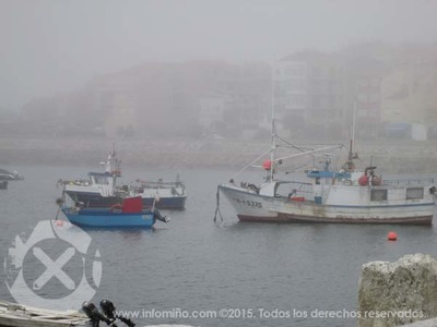O BNG censura o actual modelo de  reparto de xarda que deixa sen cota  a flota galega e abcaa   runa