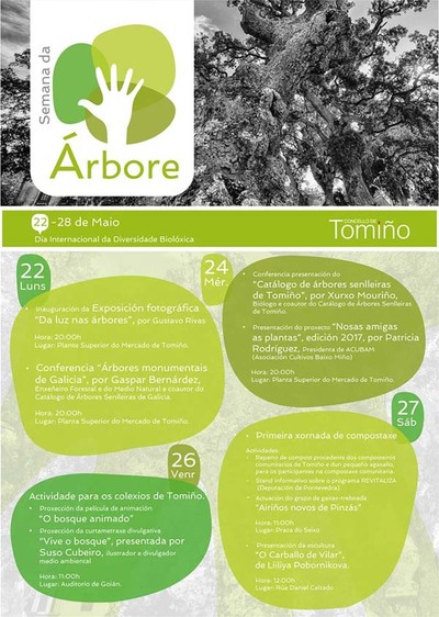 Este sbado presntase a escultura -O carballo de Vilar- en Tomio