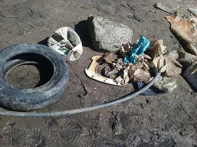 Estudantes do 8 ano de Cerveira avaliaram qualidade da gua e do lixo das margens do Ro Minho