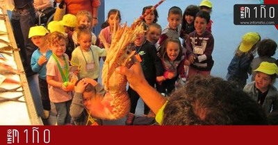 Especial- Escolares de A Guarda participan en talleres en la Plaza de Abastos de A Guarda