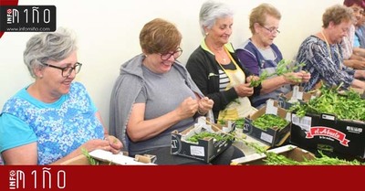 Especial - A Guarda se prepara para la elaboracin de las Alfombras Florales del Santsimo
